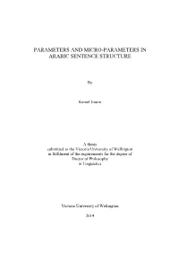 Parameters and Micro-Parameters in Arabic Sentence Structure