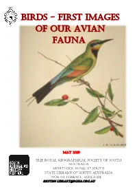 Birds - First Images of Our Avian Fauna