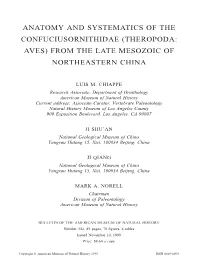 From the Late Mesozoic of Northeastern China