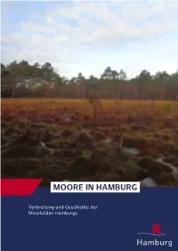 Moore in Hamburg
