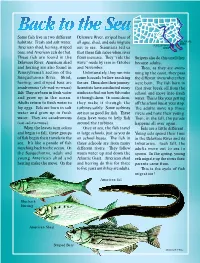 These Fish Move When River These Fish Are Found in the Flows Increase