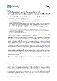 Do Salamanders Limit the Abundance of Groundwater Invertebrates in Subterranean Habitats?