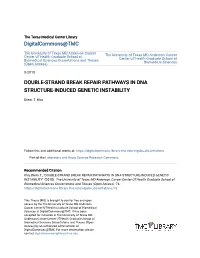 Double-Strand Break Repair Pathways in Dna Structure-Induced Genetic Instability