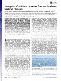 Emergence of Antibiotic Resistance from Multinucleated Bacterial Filaments