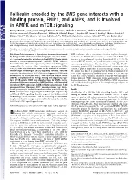 Folliculin Encoded by the BHD Gene Interacts with a Binding Protein, FNIP1, and AMPK, and Is Involved in AMPK and Mtor Signaling
