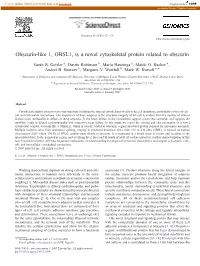 Obscurin-Like 1, OBSL1, Is a Novel Cytoskeletal Protein Related to Obscurin