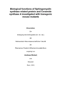 Biological Functions of Sphingomyelin Synthase Related Protein and Ceramide Synthase 4 Investigated with Transgenic Mouse Mutants