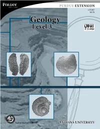 Geology Level 3