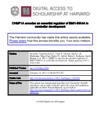CHMP1A Encodes an Essential Regulator of BMI1-INK4A in Cerebellar Development