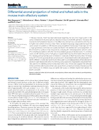 Differential Axonal Projection of Mitral and Tufted Cells in the Mouse Main Olfactory System
