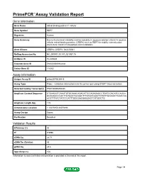 Primepcr™Assay Validation Report