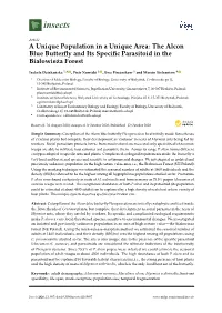 The Alcon Blue Butterfly and Its Specific Parasitoid in The