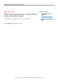A Bridge Between Nuclear and Particle Physics