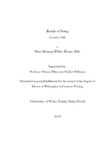 Braids of Song Gwead Y Gân