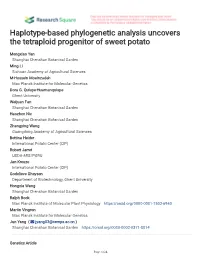 Haplotype-Based Phylogenetic Analysis Uncovers the Tetraploid Progenitor of Sweet Potato