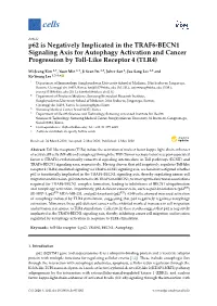 P62 Is Negatively Implicated in the TRAF6-BECN1 Signaling Axis for Autophagy Activation and Cancer Progression by Toll-Like Receptor 4 (TLR4)