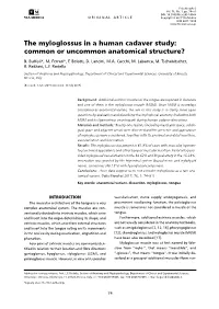 The Myloglossus in a Human Cadaver Study: Common Or Uncommon Anatomical Structure? B