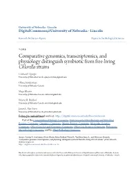 &lt;I&gt;Chlorella&lt;/I&gt; Strain
