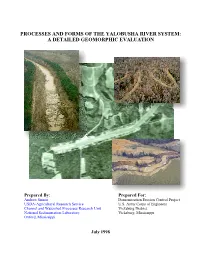Processes and Forms of the Yalobusha River System
