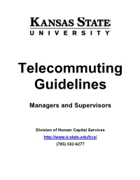 Telecommuting Guidelines