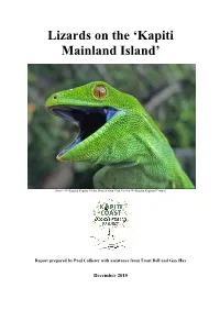 Lizards on the 'Kapiti Mainland Island'
