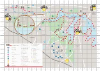 Royal Shores A3area Map Chosen Folder Pdf Copy