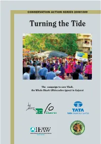 Turning the Tide