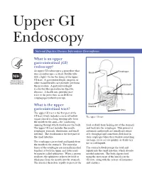 Upper GI Endoscopy (Procedure)
