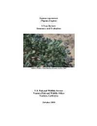 Lupinus Nipomensis (Nipomo Lupine) 5-Year Review: Summary and Evaluation U.S. Fish and Wildlife Service Ventura Fish and Wildlif