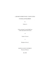 A GENOMIC SCREEN for ZIC1 TARGET GENES in NEURAL DEVELOPMENT by Shuzhao Li a Thesis Submitted in Partial Fulfillment of the Requ