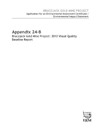 BRUCEJACK GOLD MINE PROJECT Application for an Environmental Assessment Certificate / Environmental Impact Statement