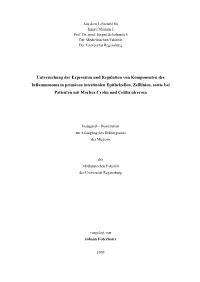 Dissertation Johann Federhofer.Pdf
