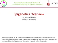 Epigenetics Overview Kim Boekelheide Brown University