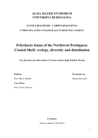 Ecology, Diversity and Distribution