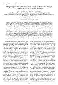 Morphological Evolution and Systematics of Synthyris and Besseya (Veronicaceae): a Phylogenetic Analysis