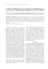 On the Contribution of Allometry to Morphological Variation in a Freshwater Gastropod Elimia Livescens