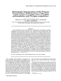 Retinotopic Organization of the Primary Visual Cortex of Flying Foxes (Pteropus Poliocephalus and Pteropus Scapulatus)