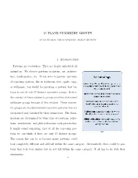 17 PLANE SYMMETRY GROUPS 1. Introduction Patterns Are