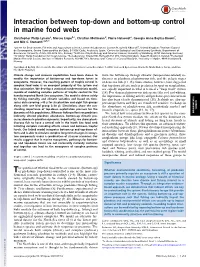 Interaction Between Top-Down and Bottom-Up Control in Marine Food Webs
