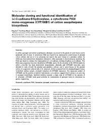 Molecular Cloning and Functional Identification of (+)-D-Cadinene-8-Hydroxylase, a Cytochrome P450 Mono-Oxygenase (CYP706B1) Of