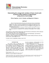 Determining the Ontogenetic Variation of Lower Cheek Teeth Occlusal Surface Patterns in Lagomorphs Using Micro-Ct Technology