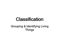 Classification