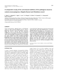 Actin-Based Motility of Pathogenic Bacteria