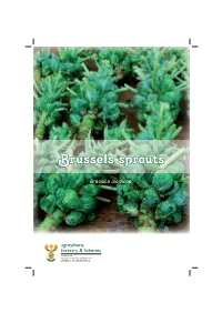 Brussels Sprouts, Is a Tall-Stemmed Cabbage in Which the Axillary Buds in the Axis of Each Leaf Form Tiny Heads Or Sprouts