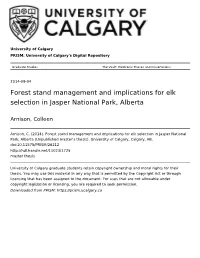 Forest Stand Management and Implications for Elk Selection in Jasper National Park, Alberta