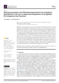 Mechanosensation and Mechanotransduction by Lymphatic Endothelial Cells Act As Important Regulators of Lymphatic Development and Function