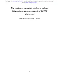 The Kinetics of Nucleotide Binding to Isolated Chlamydomonas Axonemes Using UV-TIRF Microscopy