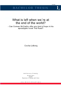BACHELOR THESIS What Is Left When We´Re at the End of the World?