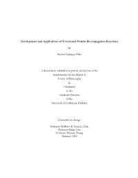 Development and Applications of N-Terminal Protein Bioconjugation Reactions
