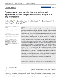 Telomere Length Is Repeatable, Shortens with Age and Reproductive Success, and Predicts Remaining Lifespan in a Long-Lived Seabird